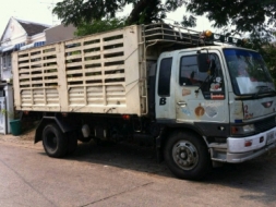 ขาย6ดั้ม ยาง900/20 195 แรง เอกสารพร้อมโอน