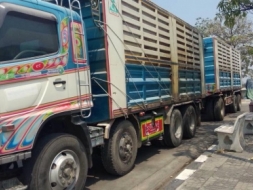 ขายรถสิบล้อ hino FM1A 344 ปี 52 คอกเกษตรดั้มเหล็ก อู่CT TRUCK รถเดิมๆราคาต่อรอง