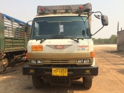 ขายพ่วงแม่-ลูก