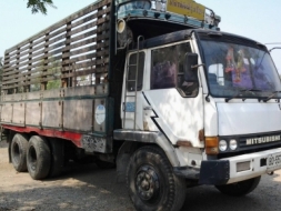 ขาย10ล้อมิตซูไอ้หลงFN516MA170แรงเพลาเดียว สวยๆ