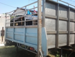 ขายตามสภาพกะบะเลส6ล้อช่วงสั้นอีซูซุNKRสวยยาว3.25 กว้าง1.90คานล่าง71ซ.ม