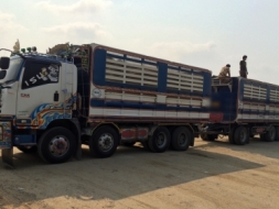 Isuzu 360 เหล็ก แม่ ยาว 6.10 สูง 2.2 กว้าง 2.50 ลูก ยาว 7.0 สูง 2.20 กว้าง 2.5 สนใจติดต่อ 093-140697