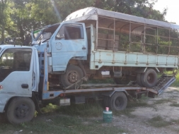 ขาย NkR 110 รถห้างแท้ ชนหน้ามา ตามสภาพ 215000