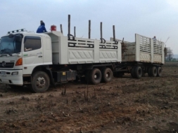 ดัมพ์ แม่/ ลูก HINO FM 2 PNLD 380 แรง ปี พย.53 ราคา 3,100,000 บาท