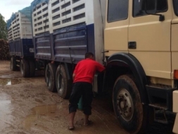 ขายรถพ่วงแม่ ลูก iveco. 320แรง