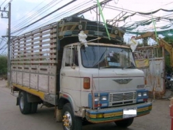 HINO KM505 ช่วงล่าง FC ซุปเปอร์เสี่ย เครื่อง 4 สูบ WO4D 117 แรงม้า ราคา 380,000