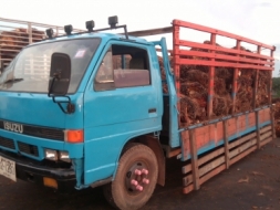 ขาย260,000บาท NPR 59L 115 HP