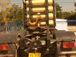 ขายหัวลากก๊าช ปี54