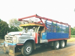 ขาย 10 ล้อหัวยาว ISUZU ไอ้โบ้ เครื่อง 6BB 165 แรงม้า เกียร์สโลอินเตอร์ เพลาเดียว ช่วงล่างเดิมใหญ่ พ