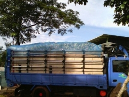 Isuzu การ์ตูนดั้มได้ -เพิ่มเบรคลม