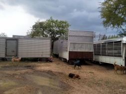 * ขาย * ตู้แห้ง ยาว 7.20 ม. และ 5.50 ม. และ 4.30 ม. พร้อมติดตั้ง ใส่ได้หลายรุ่น สนใจ