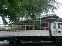 ROCKY 195 แรง ยาว 6.20 เมตร รถพร้อมใช้งาน ราคา 595,000 บาท