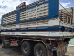 รถกะบะบรรทุกพ่วงพืชไร่ราคาพิเศษ