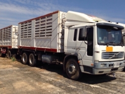 ขายวอลโว่ F6 /FL250ดั้มแม่ลูก3เพลาแท้ phut 086.1114979