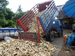 ขายรถบรรทุกหกล้อเครื่องอีสุสุ75แรง ช่วงล่างอีสุสุ85แรง วิ่งข้าว วิ่งมัน บรรทุกพืชผลการเกษตรทุกชนิดได