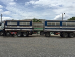 ขายรถบรรทุกพ่วงเกษตรราคาพิเศษ