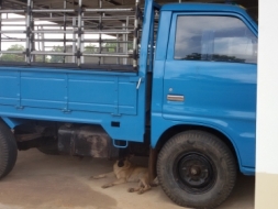 ขายสี่ล้อกลางอีซูสุ74แรงพร้อมใช้ราคา85000บาท