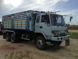 ขาย240นางฟ้าแท้โคตรตัวRครัชชีสวย