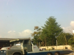 ขายเทรนเลอร์