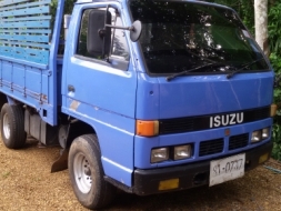 ISUZU  4ล้อ