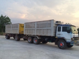 หลงTF 5XXX 260 แรง ดั้มท์แม่/ลูก ปี40 ราคา 1,375,000 บาท