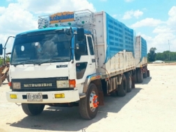 ต้องขายไอ้หลง