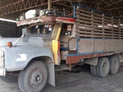 ขาย10ล้อ หน้ายาว เพลาเดียว เครื่อง6BD1