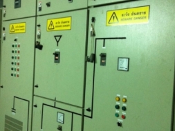 ขายโรงงานผลิตขี้เลื่อยอัดเม็ด ( Wood Pellet )