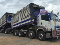 ขาย ISUZU 360 พ่วงแม่ลูก กระบะเหล็กคอกเกษตรดั๊ม รถปี 56