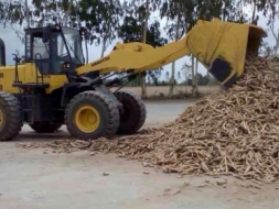 ขายรถตักwa300-3