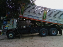 ขายพ่วง3Mแม่ลูก