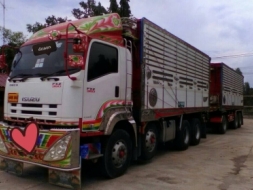 ขาย ISUZU 360 พ่วงแม่ลูก กระบะเนียมดั๊ม คอกเกษตร รถปี 56