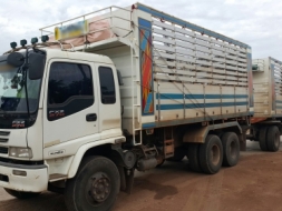 ขายรถพ่วง18ล้อ แม่.ลูก กระบะเนียมคอกเกษตรดั้ม ISUZU 270 ปี.ต.ค.48 รถสวย ราคา.1850000 ต่อรอง