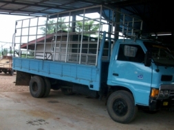 ขาย 6 ล้อ KS32 ปี 36 เครื่อง 4BD1 ยาว 5 เมตร เพาเวอร์ พร้อมใช้งาน