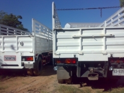 ขายแม่ พร้อม ลูก ซูโม่ 227 ไม่ดั้ม *** ลด อยากขายครับ