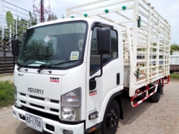 6 ล้อกลาง *Euro.3* ISUZU NMR 130 แรงม้า *คอมมอนเรว* รถสวยเดิม+สวยจริง+พร้อมใช้งาน * รถห้างแท้ *