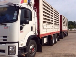 ขายด่วน รถสิบล้อพ่วง แม่-ลูก ไม่ดั้มพ์ ISUZU DECA 300 ปี53 สภาพดีมาก เอกสารพร้อม