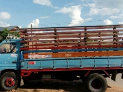 ขาย อีซูซุ 6 ล้อ 110 แรงม้า ราคาถูก