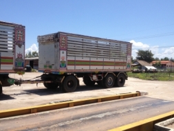 ลูกพ่วง3เพลาแท้