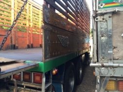 ขายรถสิบล้อ ISUZU ร็อกกี้ 175 แรงม้า เพลาเดียว