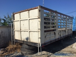 ขายถูกกระบะบรรทุก