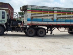 ขายหางคอกไม่ดัมพ์ราคา 200,000 บาท ( ลงราคาผิดแก้ไม่ได้ )