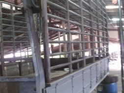 กะบะNPR 115พร้อมคอกเหล็กยาว4.5 ม ราคา 37,000 บาท ศุภากร 081-1903107 , 081- 4252943