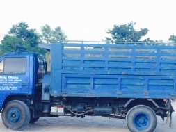 สั่งลุย ดั้ม 6 ล้ออีซูซุ 115 แรง NPR59LU5F M - 711**.ห้างแท้เดิมๆ สุดคุ้ม