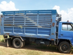 ขาย 6 ล้อ 110 แรง ดั้ม พร้อมไช้งาน เอาไปใช้งานใด้เลย 0894389734