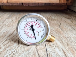 เกจวัดแรงดันออกข้าง เกลียว NPT Stauff SPG Series